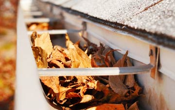 Falside gutter cleaning companies