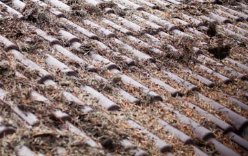 Falside roof cleaning companies