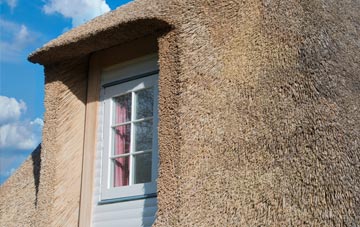 Falside thatch roof disadvantages